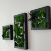 Side view of three black framed panels with textured green preserved moss and floral accents on a white wall