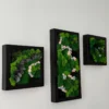 Three-piece preserved moss wall art set with pink floral accents in black wooden frames mounted on a white wall