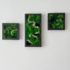 Three-piece preserved moss and floral wall art set in black wooden frames displayed on a white wall