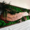 Rectangular moss wall art featuring a live-edge walnut slab, layered green and red moss, and preserved foliage.