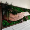 Angled view of horizontal moss wall art with live-edge wood, dark fern fronds, and green bun moss in a wood frame.