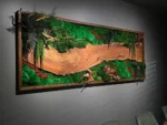 Moss Wall Art with Wood – Walnut Forest Landscape
