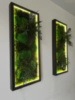 Custom Illuminated Moss Picture - Image 6