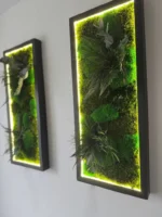 Custom Illuminated Moss Picture - Image 7