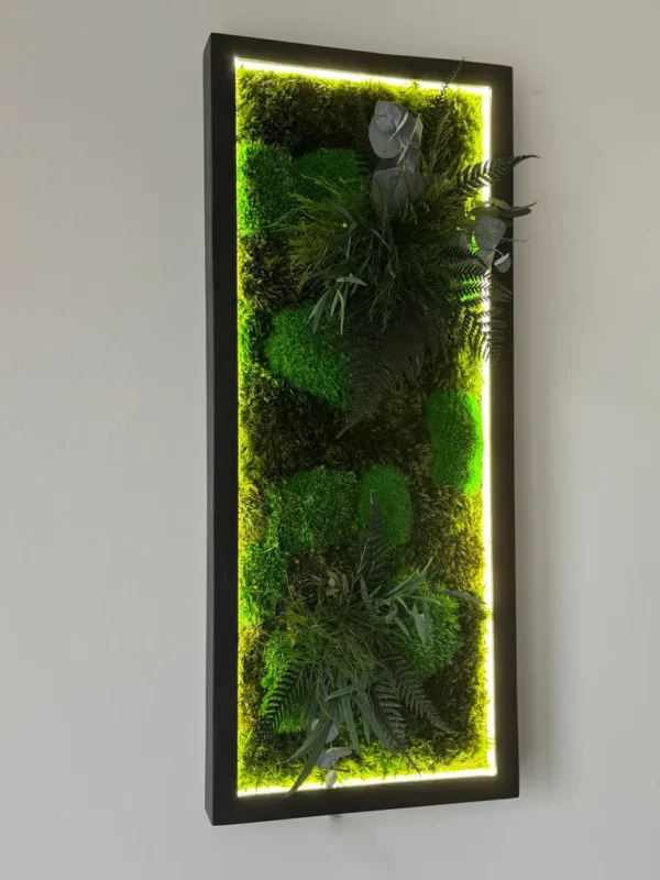 Custom Illuminated Moss Picture - Image 8