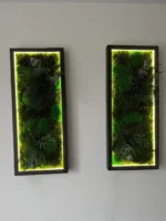 Custom Illuminated Moss Picture - Image 9