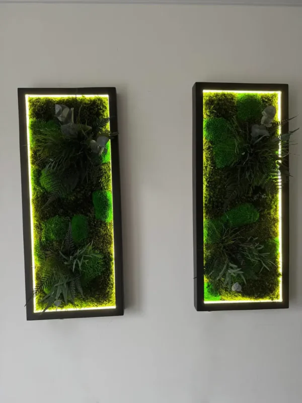 Custom Illuminated Moss Picture - Image 9