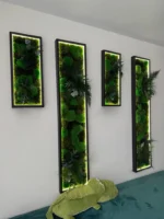 Custom Illuminated Moss Picture - Image 11