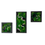 Wall Art Set: Floral Moss Trio with Frames