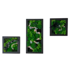 Wall Art Set: Floral Moss Trio with Frames