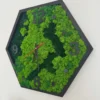 Side perspective of a black hexagonal moss wall clock featuring textured green preserved moss and black numerals.