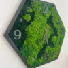 Angled close-up of a hexagon wall clock with mixed green moss, black frame, and black numbers on a white wall.