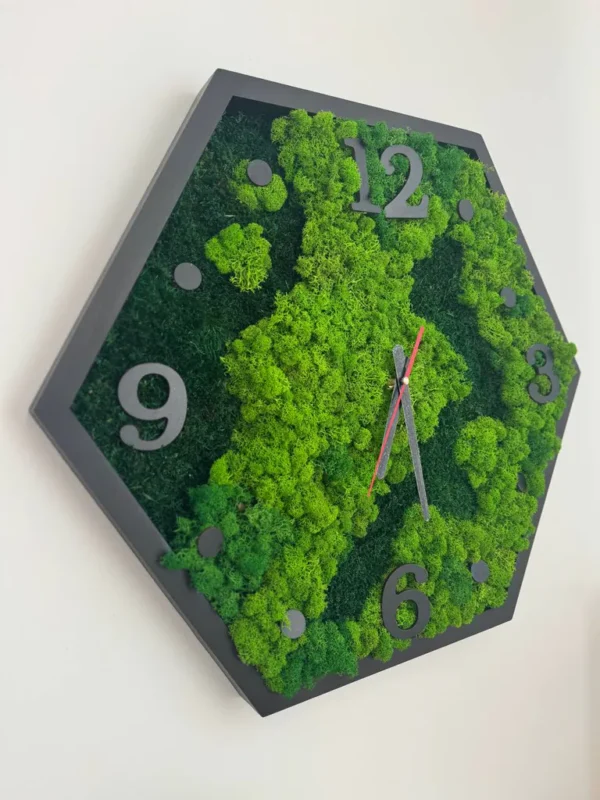 Hexagon Moss Wall Clock Natural Mix - Image 5