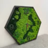 Side angle of hexagonal wall clock with textured green moss dial, black wooden frame, and dark numerals