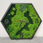 Hexagon Moss Wall Clock Natural Mix
