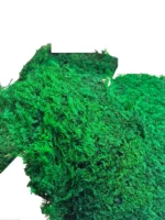 Farn Moss | Decorative Moss - Box 2.5 kg - Image 2