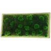 Rectangular framed moss wall art with integrated LED border lighting and dimensional bun moss.