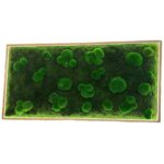 LED Moss Picture – Mix of Ball Moss & Flat Moss