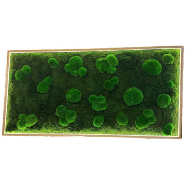 Rectangular framed moss wall art with integrated LED border lighting and dimensional bun moss.