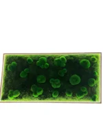 LED Moss Picture – Mix of Ball Moss & Flat Moss - Image 4