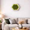 Hexagonal illuminated green moss wall art hanging above a sofa and coffee table in a modern living room