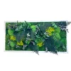 Rectangular preserved plant and moss wall art featuring textured greenery and fern foliage in a frame.