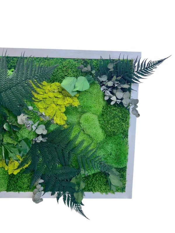 Preserved green moss wall art with ferns and eucalyptus extending over a white frame