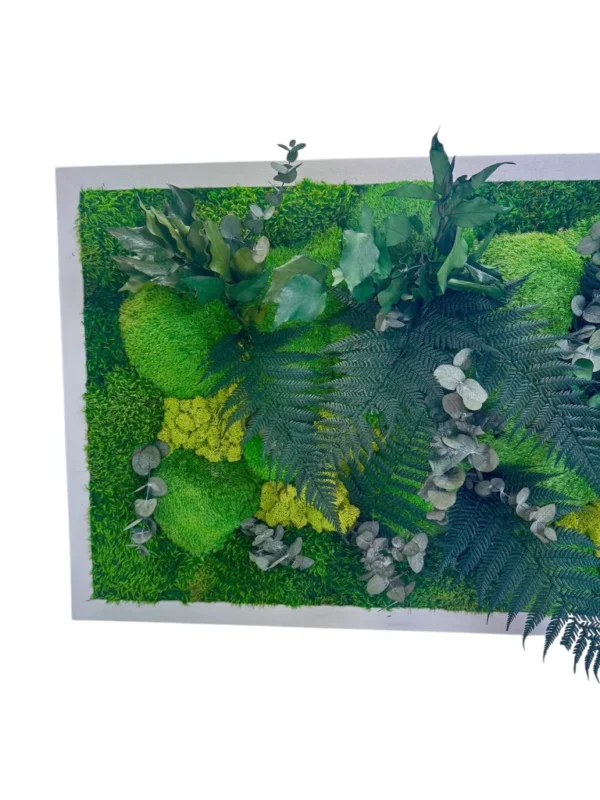 Preserved moss wall art featuring green bun moss, fern fronds, and eucalyptus in a white frame