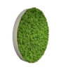 Round preserved green reindeer moss wall art panel in a white circular frame, viewed from the side