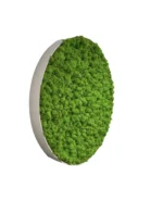 Ekomoss Round DIY Moss Picture Set – Reindeer Moss - Image 13