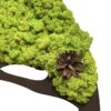 Close-up of green reindeer moss foliage with a natural pinecone on a dark brown wooden branch.