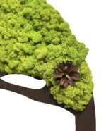 Moss Tree with Iceland Moss. Tree of Life - Image 7
