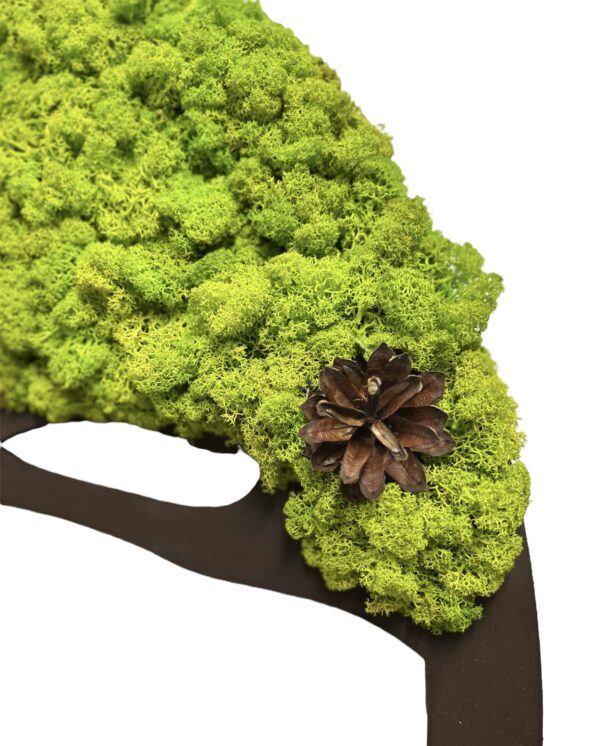 Moss Tree with Iceland Moss. Tree of Life - Image 7