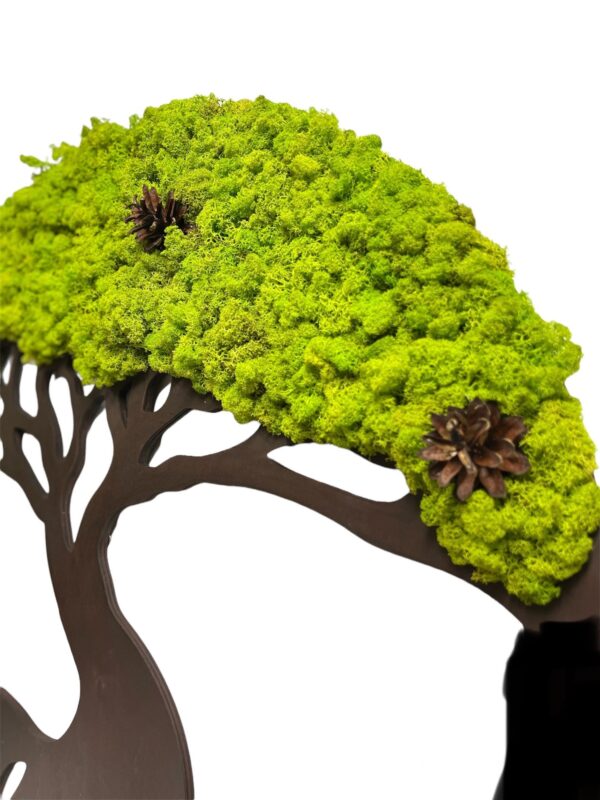 Moss Tree with Iceland Moss. Tree of Life - Image 8