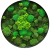 Round wall art filled with textured mixed green moss in a slim black frame