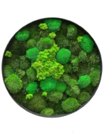 Round Moss Wall Art with Mixed Moss (Reindeer, Ball, Siberian) - Image 3