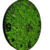 Side view of round wall clock with vibrant green reindeer moss, black frame, and black number markers.