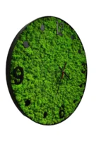 Round wall clock with Iceland moss - Image 3