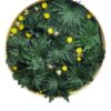Round botanical wall art with preserved moss, Rose of Jericho, and floral accents in a circular frame