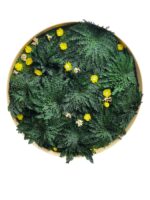 Round moss picture with Rose of Jericho and flowers