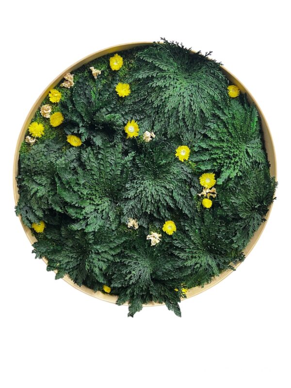Round botanical wall art with preserved moss, Rose of Jericho, and floral accents in a circular frame