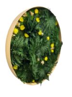 Round moss picture with Rose of Jericho and flowers - Image 2