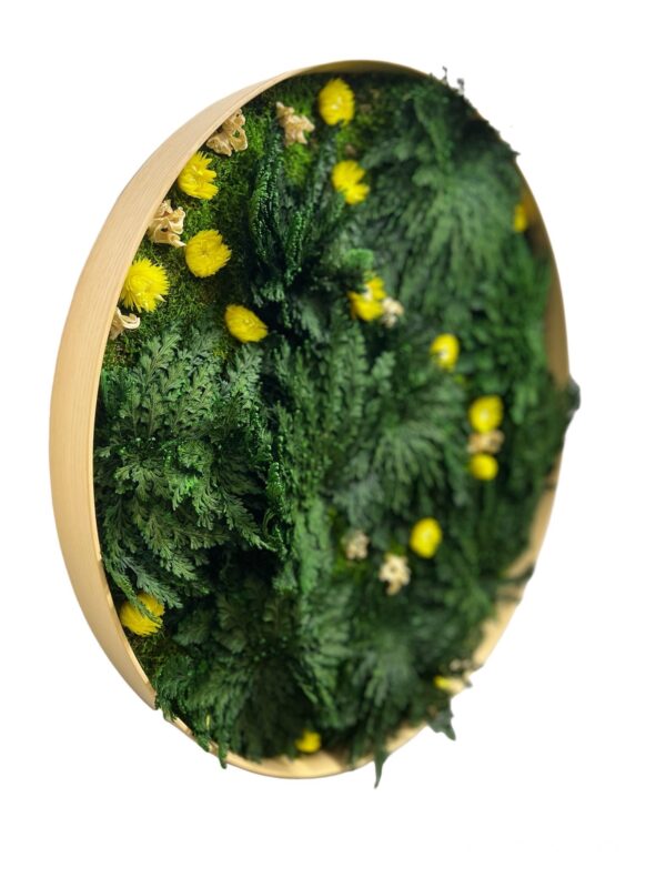 Round moss picture with Rose of Jericho and flowers - Image 2