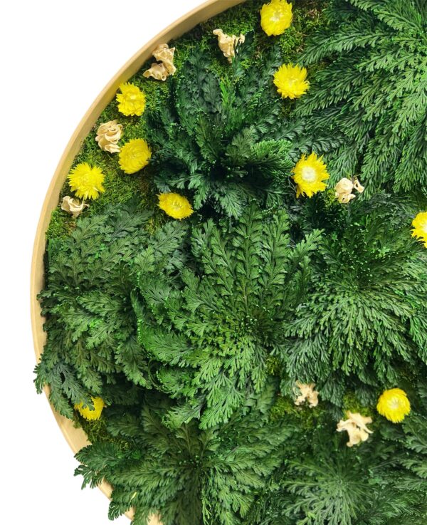 Round moss picture with Rose of Jericho and flowers - Image 3
