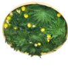 Round botanical wall art featuring green Rose of Jericho and bright yellow flowers inside a natural wood circular frame