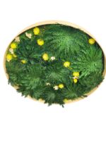 Round moss picture with Rose of Jericho and flowers - Image 4
