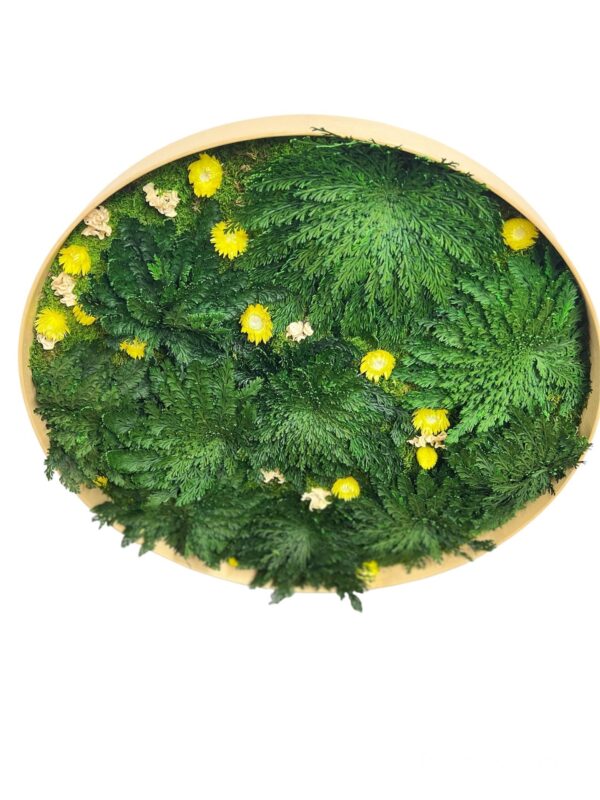 Round moss picture with Rose of Jericho and flowers - Image 4