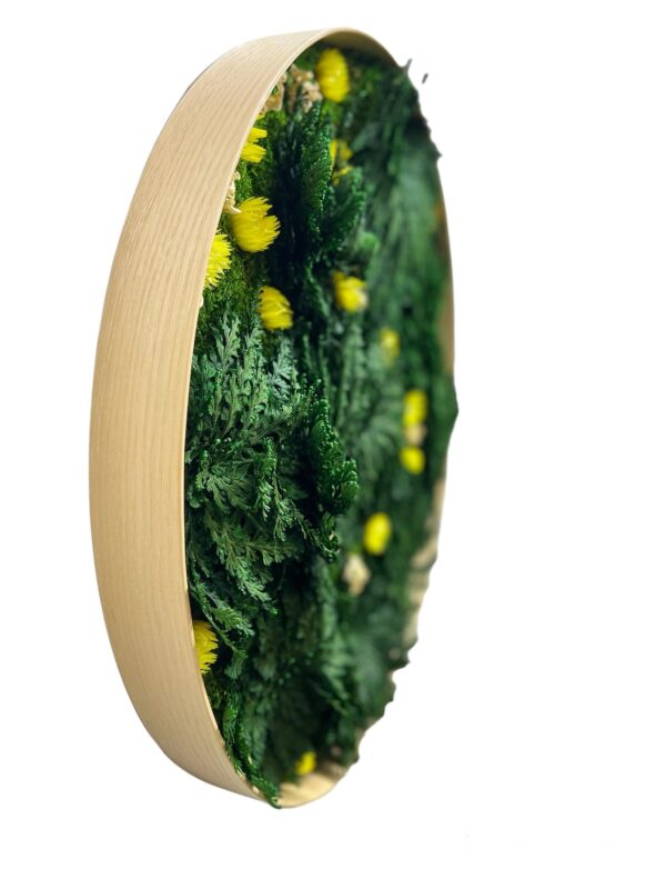 Round moss picture with Rose of Jericho and flowers - Image 5