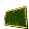 Rectangular ball moss wall art in frame with integrated interior perimeter LED lighting