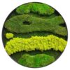 Round framed moss wall art featuring layered varieties of textured preserved moss.